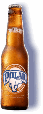 Polar Bier aus Venzuela